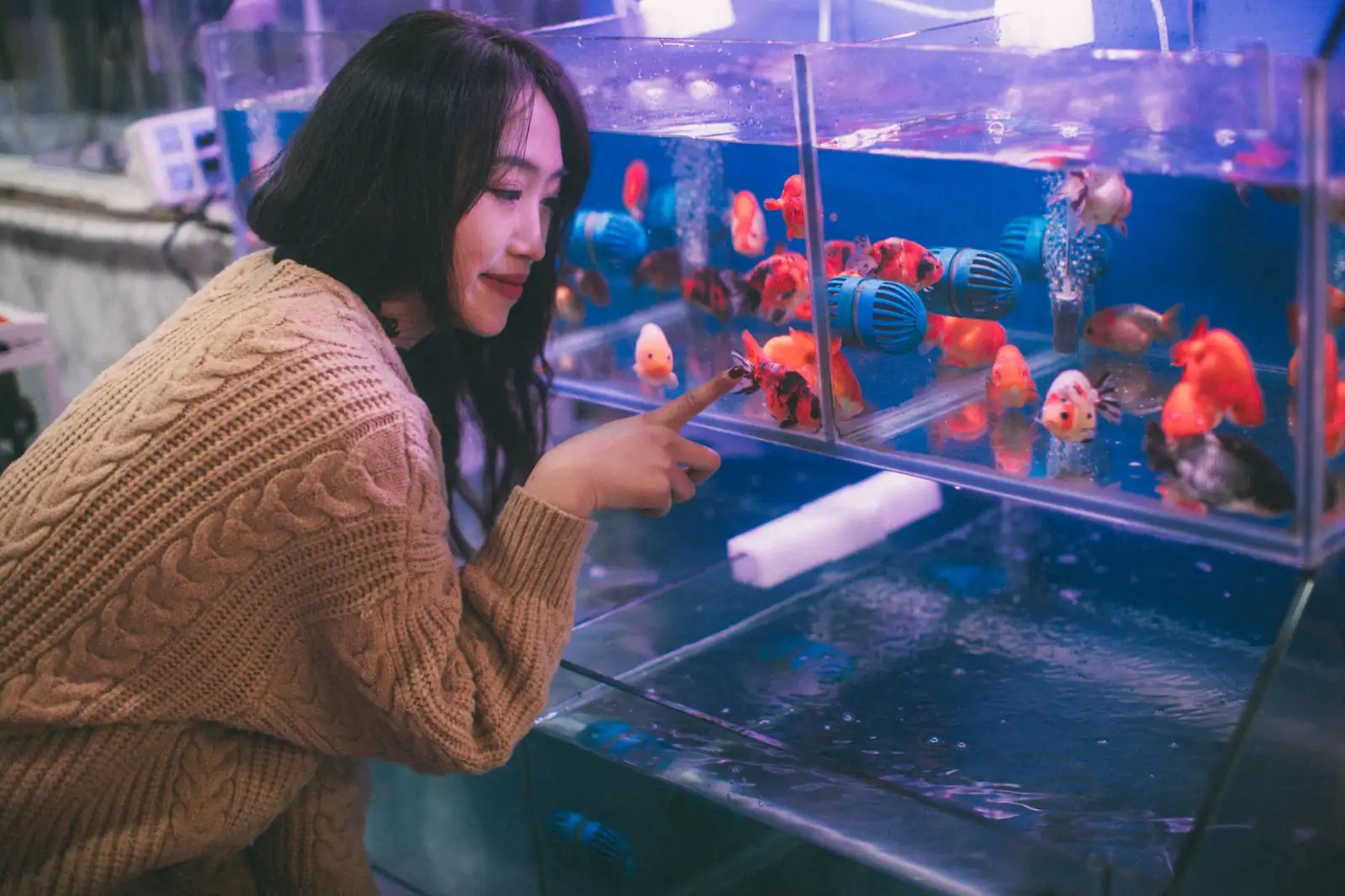 厦门兴谣城撑科技柔光箱与反光板组合应用场景详解