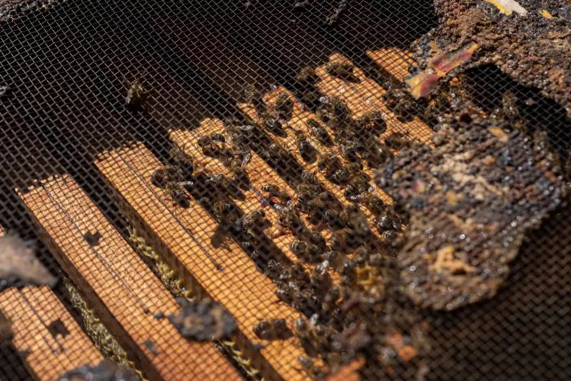 摄影棚补光灯与柔光箱搭配方案：提升布光效率的技术要点解析