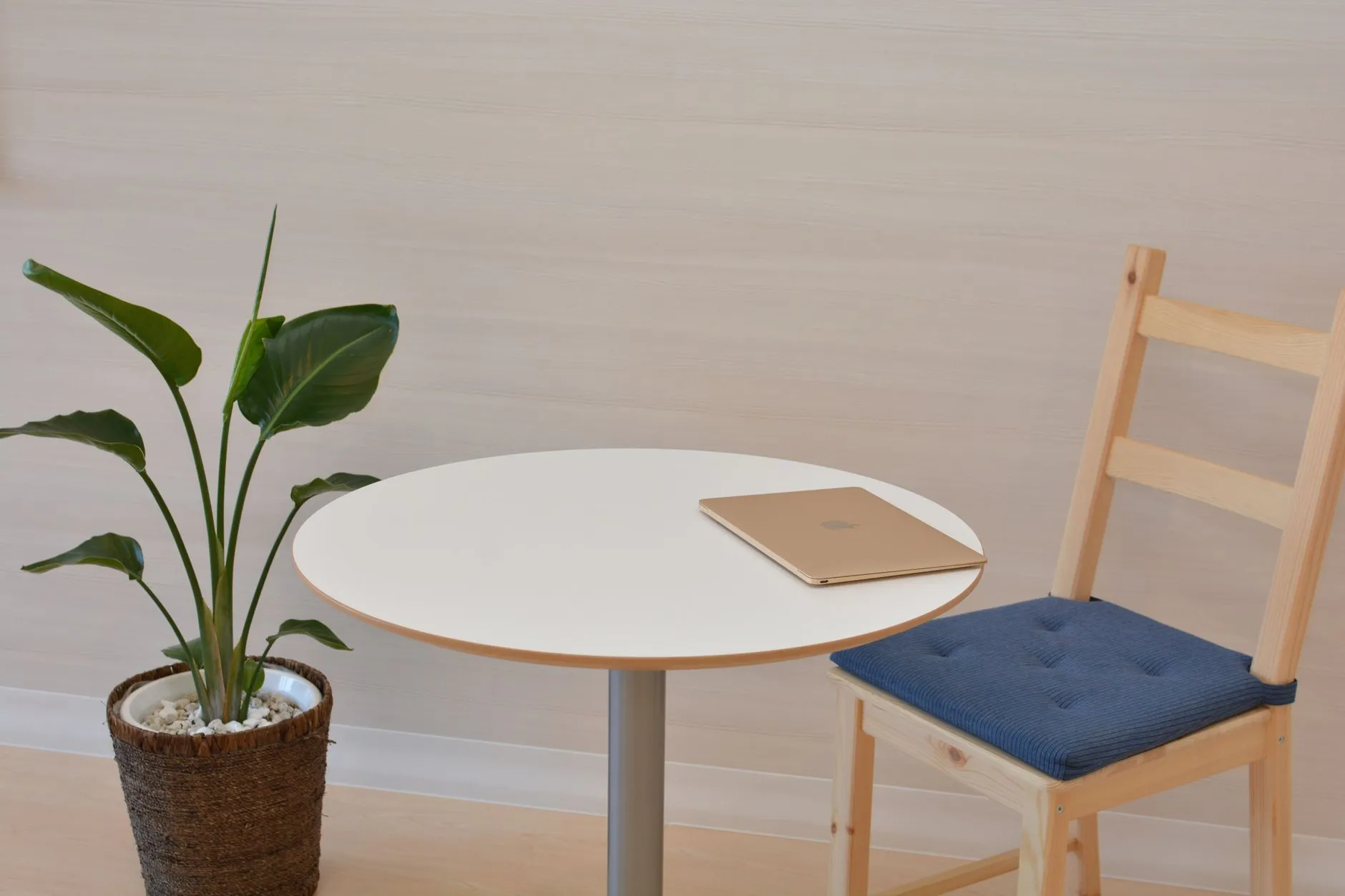 厦门摄影器材选购指南：三脚架与补光灯的搭配方案解析